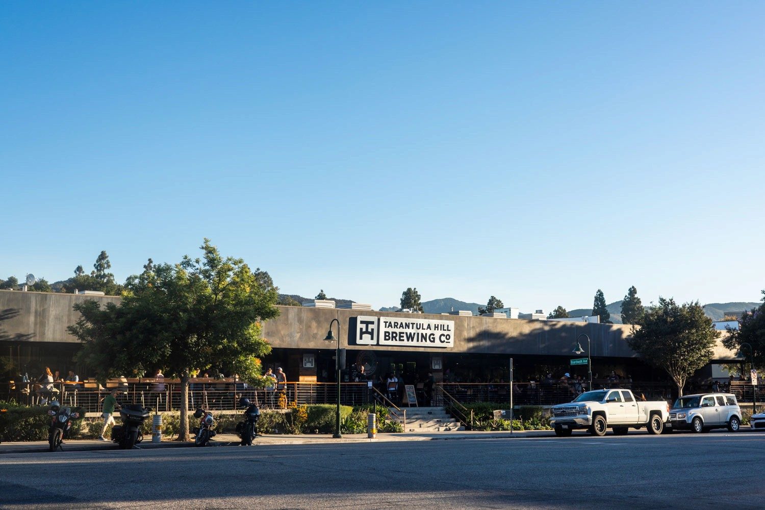 Tarantula Hill Brewing Co.